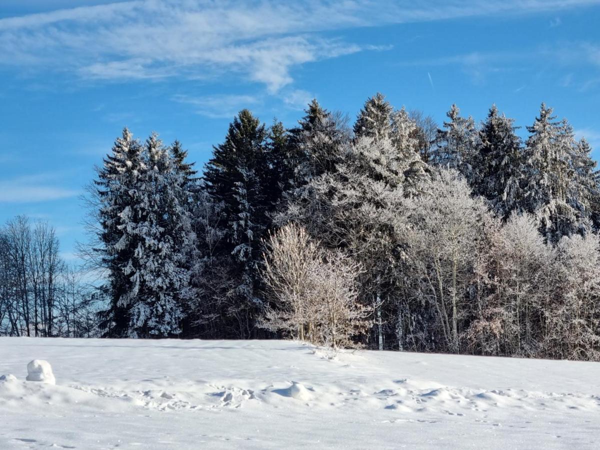 Ferienhaus Mauth Zewnętrze zdjęcie